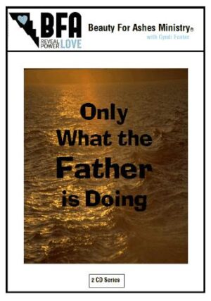 Only What the Father is Doing